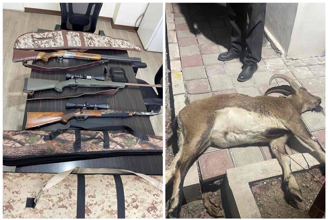 انهدام چهارمین گروه متخلف شکار غیرمجاز در دلیجان