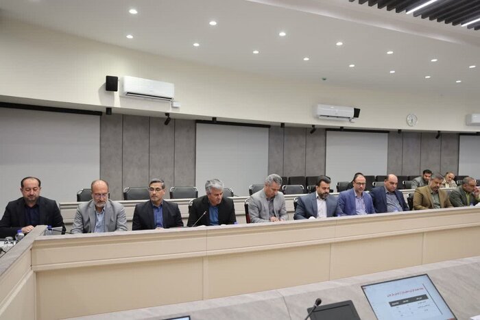 تشکیل ۲۸۲ میلیارد ریال پرونده تخلف صنفی در خراسان جنوبی