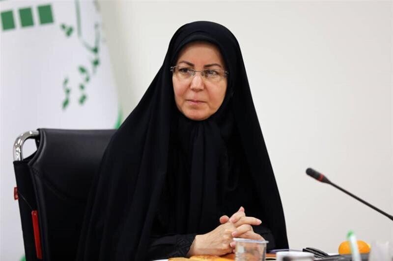 بیمههای خرد؛ فرصت تازه ای در شرایط اقتصادی سخت هستند