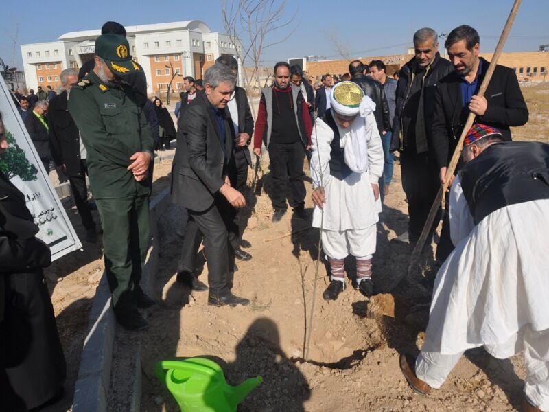 هنرمندان تئاتر خراسان رضوی در هفته بسیج ۲۰۰ نهال در قوچان غرس کردند
