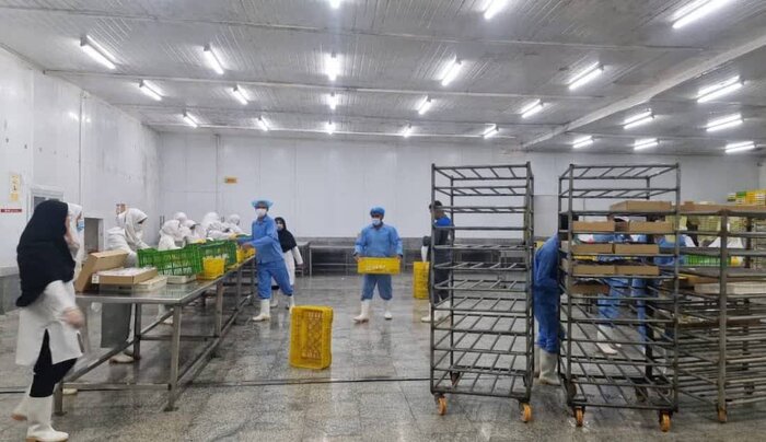 در بخش صادرات صنایع تبدیلی بندرلنگه نقشی محوری برعهده دارند