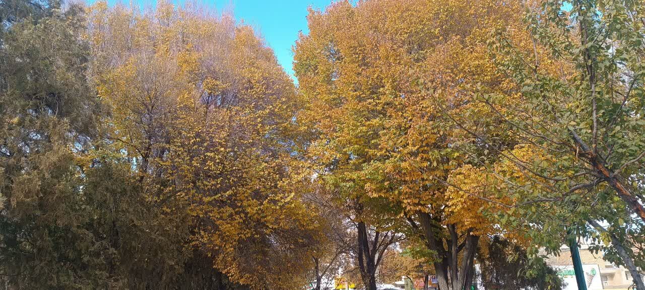 آخرین روزهای فصل رنگ‌ها در خمین+ فیلم