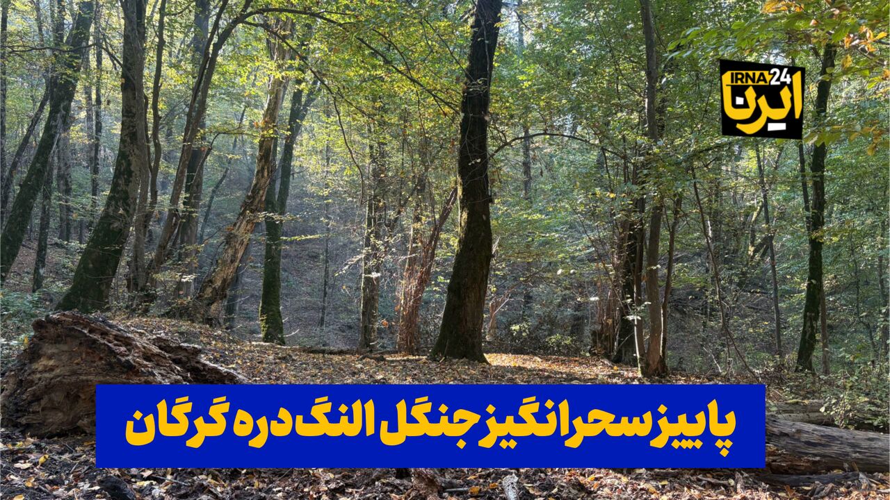 فیلم| پاییز سحرانگیز جنگل النگ‌دره گرگان