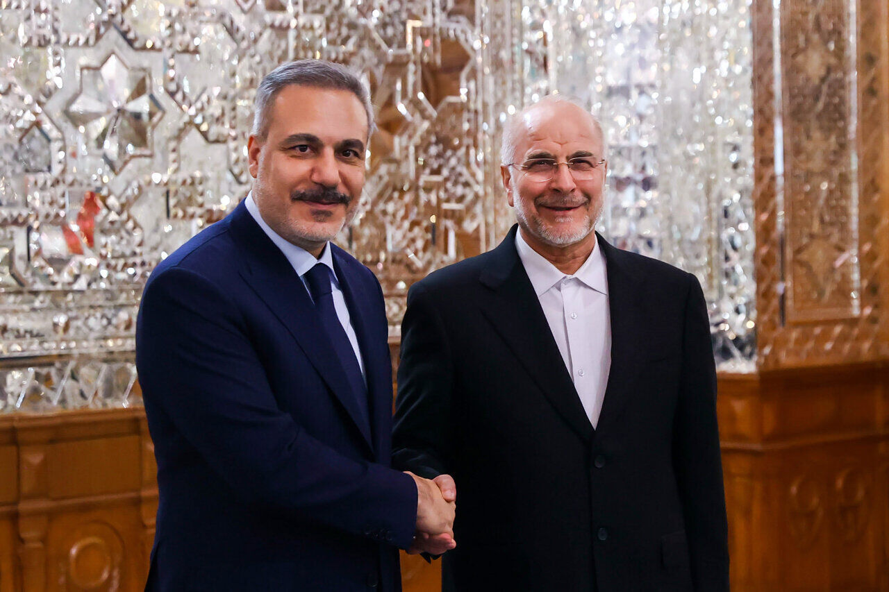 Turkish foreign minister meets Iranian parliament speaker in Tehran