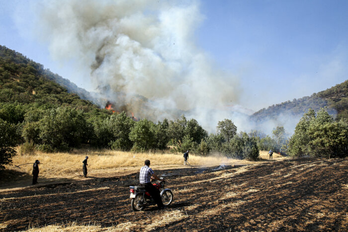 آتشسوزی در جنگلهای ساری و نکا مهار شد