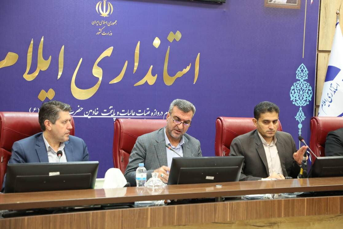 معاون استاندار: زنجیره تولید و عرضه مرغ در ایلام معیوب است