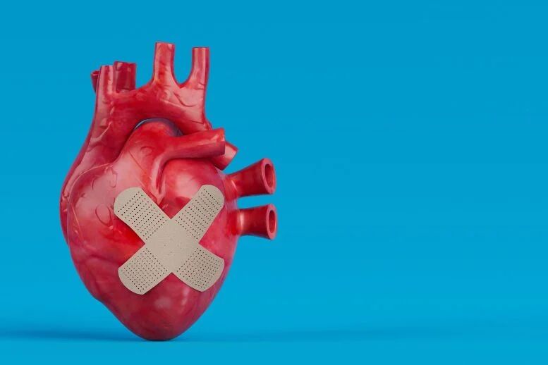 راهی نو برای ترمیم قلب: پَچی که دارو را دقیقاً به بافت آسیب‌دیده می‌رساند