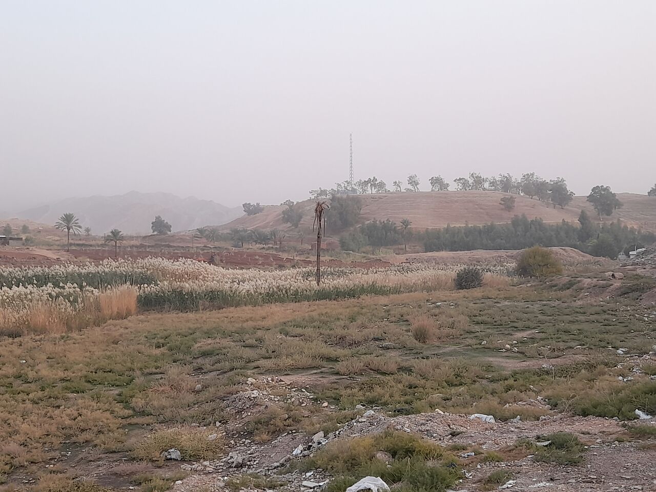 گرد و غبار دید افقی را در قصرشیرین کاهش داد