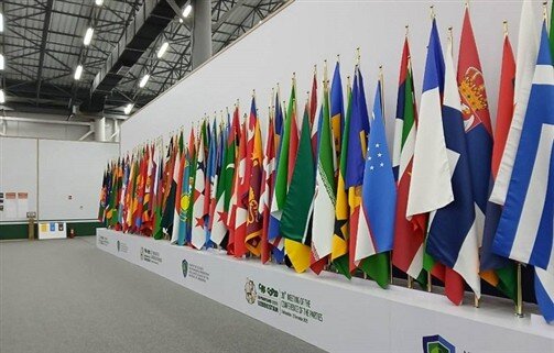 اهمیت حضور فعال ایران در کنوانسیون بینالمللی گونههای جانوری در معرض خطر