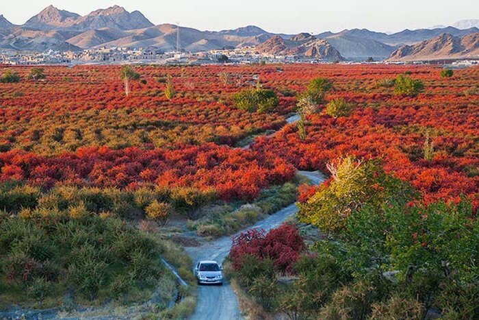 زیرکوه خراسان جنوبی، چشم انتظار رسمیشدن پایانه مرز یزدان و تکمیل طرحهای نیمهتمام است