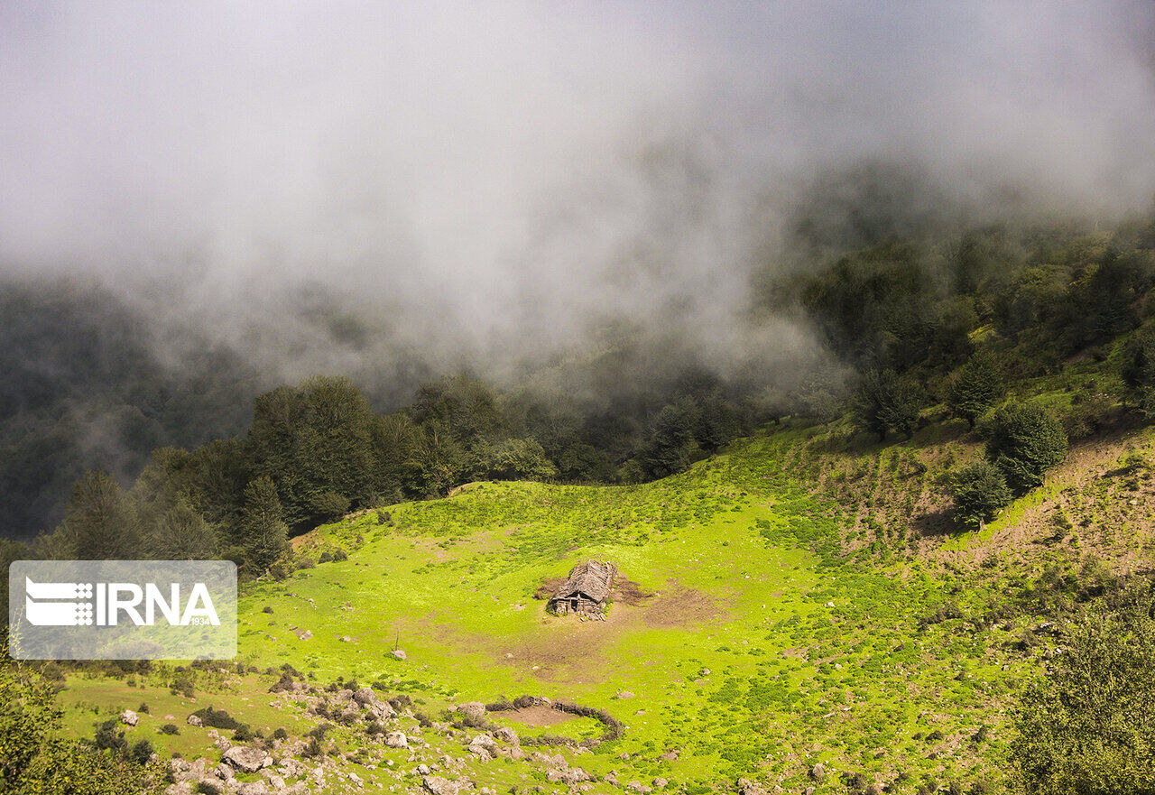 کشف ردپای «نئاندرتال‌ها» در قلب جنگل‌های هیرکانی
