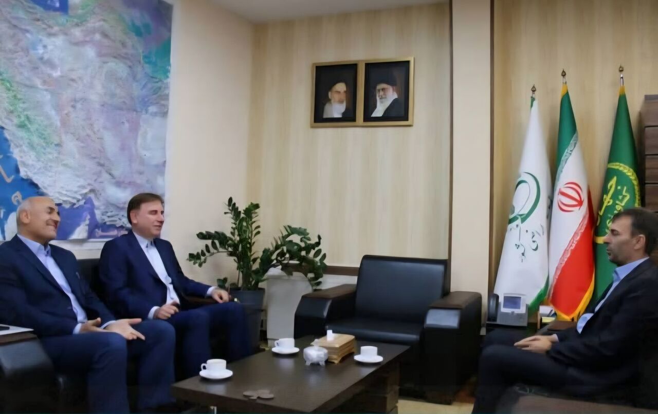 استاندار بوشهر:واگذاری زمین برای احداث نیروگاه‌های خورشیدی شتاب دهی شود