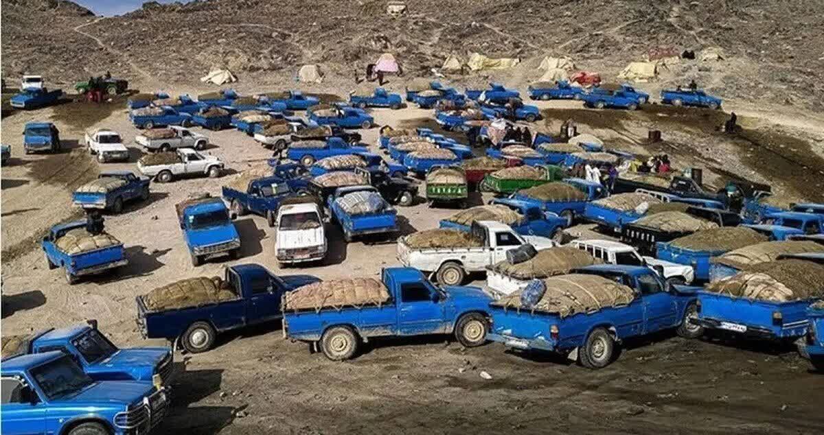 همسفر بی‌رحم‌؛ گفت‌وگو با سوخت‌بَر ۱۸ ساله اهل‌ جنوب کرمان