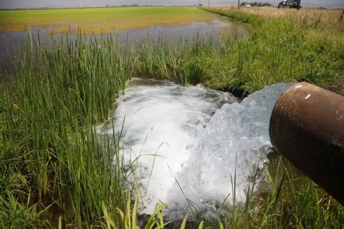 آیا فرونشست زمین گسلهای زلزله را فعال میکند