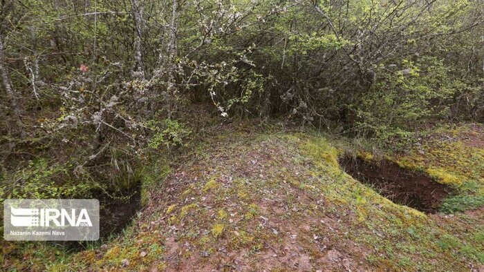 ۲۰ حفار غیرمجاز در سوادکوه دستگیر شدند