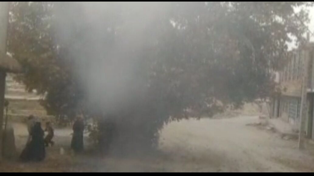 آتش‌سوزی درخت چِنار ۱۲۰ ساله روستای چنارمحمودی شهرستان لردگان مهارشد