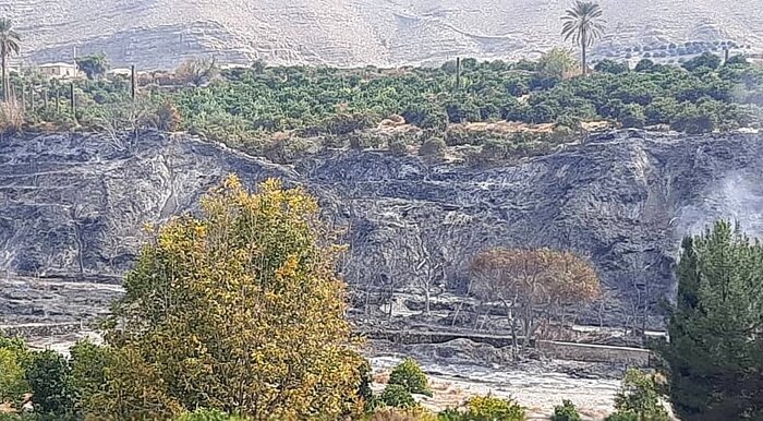 فرماندار جیرفت: با آتشافروزان نراب برخورد قانونی میشود