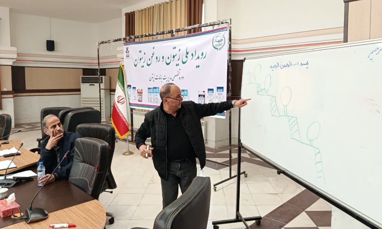 هشدار کارشناس بین‌المللی زیتون درباره آینده باغات قزوین