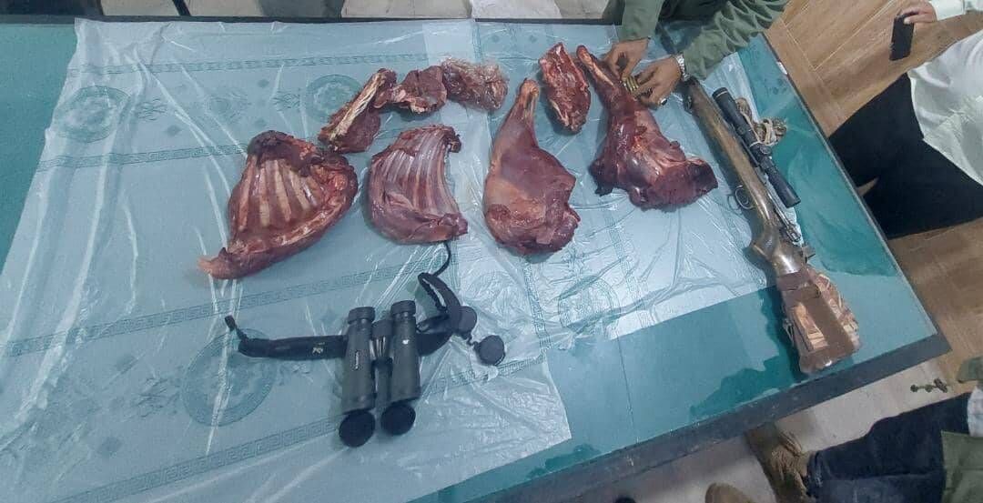 دستگیری شکارچی غیرمجاز بزکوهی در دشتستان دستگیری شکارچی غیرمجاز بزکوهی در دشتستان