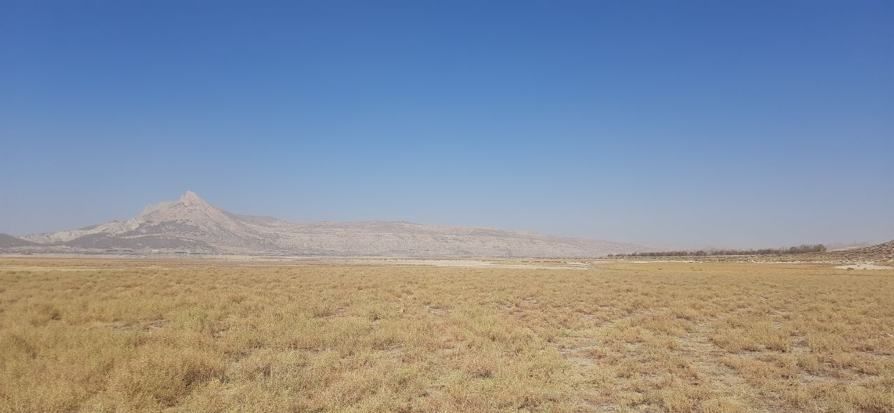 احیای ارژن با نقشه‌راه علمی کلید خورد؛ همکاری زمین‌شناسان، آبخیزداری و محیط‌زیست