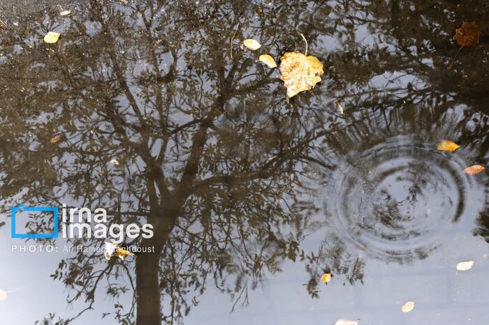 امدادرسانی به ۲۳ خودرو در مناطق برف گیر غرب اصفهان