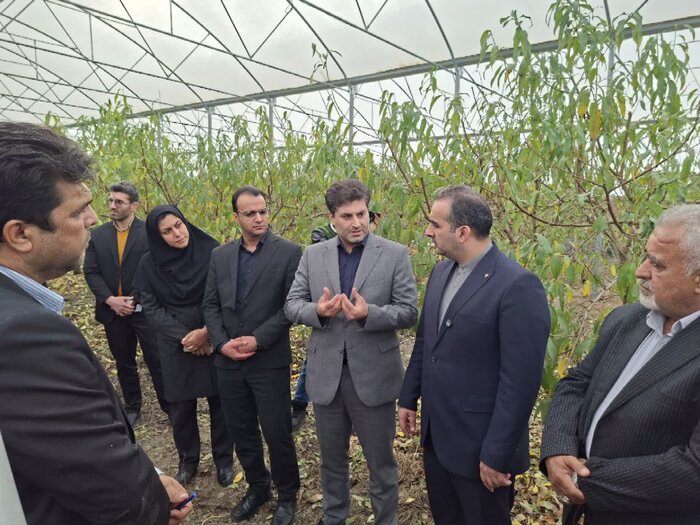 تدوین سند هوشمندسازی گلخانهها در حال انجام است 2 تدوین سند هوشمندسازی گلخانهها در حال انجام است