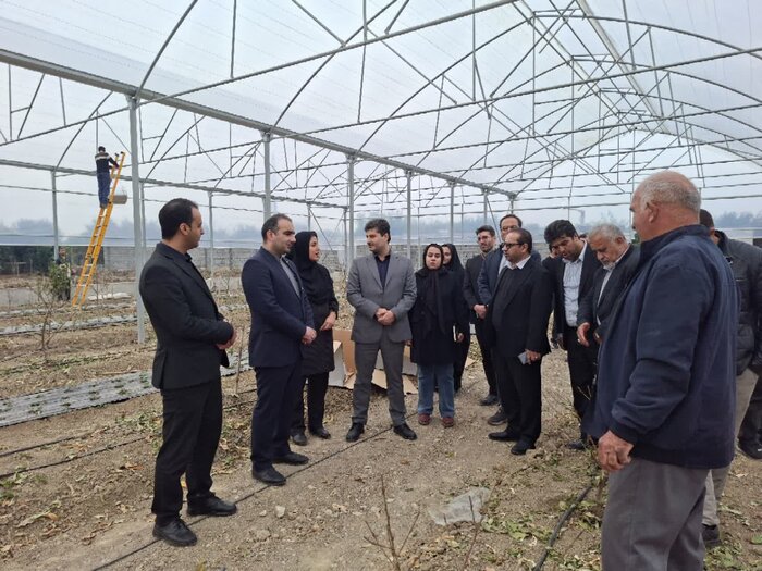 تدوین سند هوشمندسازی گلخانهها در حال انجام است 3 تدوین سند هوشمندسازی گلخانهها در حال انجام است