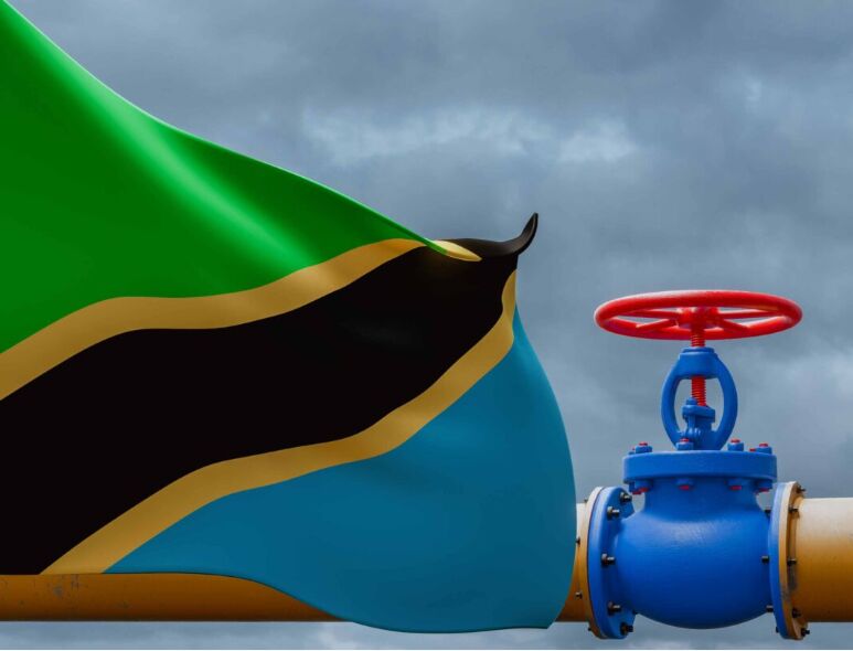 مذاکره آمریکا و تانزانیا درباره قرارداد ۴۲ میلیارد دلاری «ال.ان.جی»