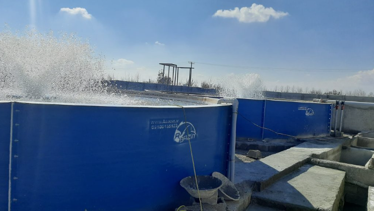 بومیسازی تجهیزات آبزیپروری با تلاش نخبگان فناور