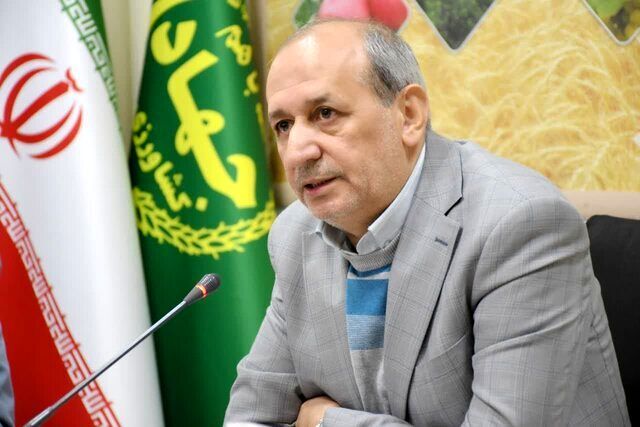 افزایش ۳۸ درصدی جوجه‌ریزی در آذربایجان شرقی با رفع مشکل تأمین نهاده‌ها+فیلم