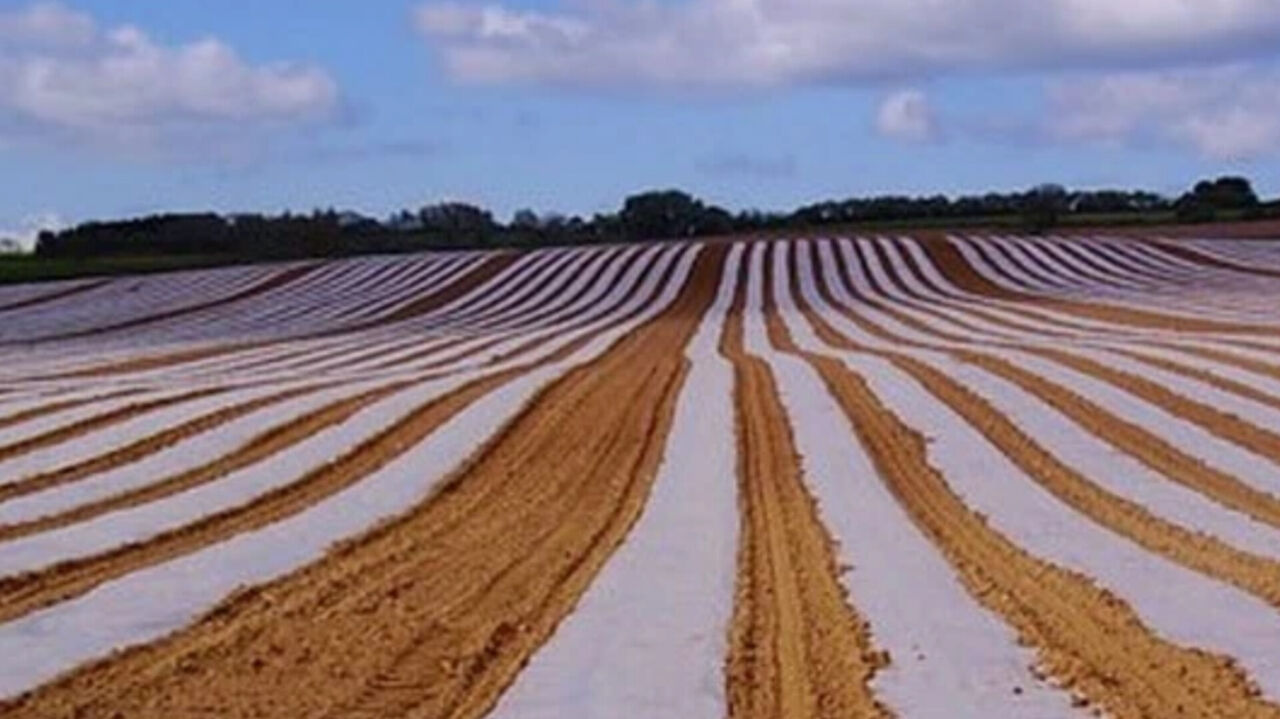 میکروپلاستیک‌ها، تهدیدی جدی برای خاک‌های کشاورزی اصفهان