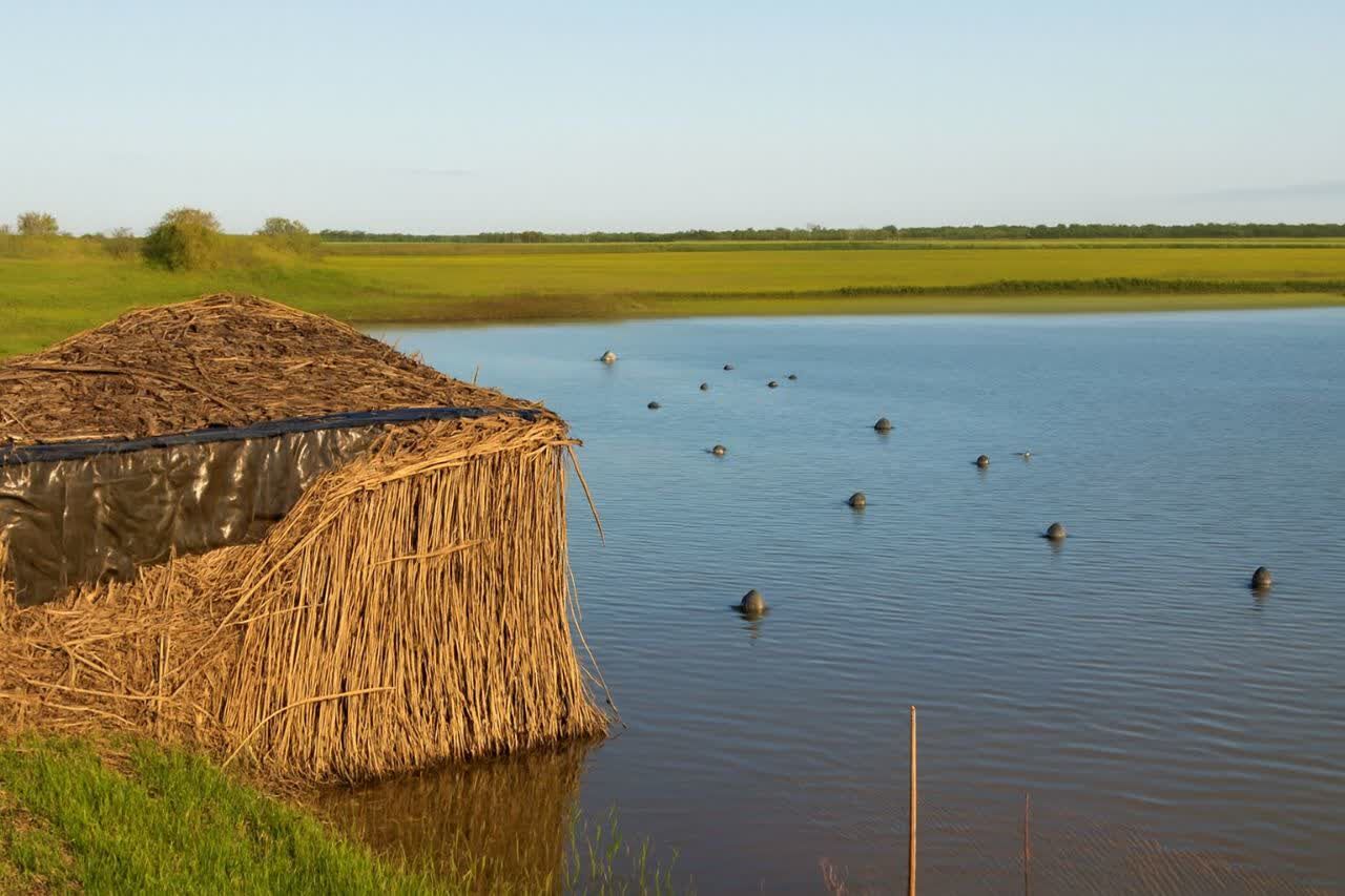 کومه نماهای شکارغیرمجاز در گیلان جمع‌آوری شد