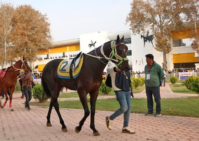 فیلم| عصر زمستانی با هیجان اسبدوانی