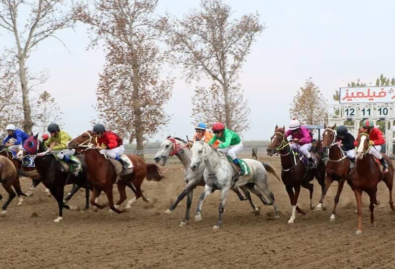 پایان روز دوم هفته پنجم کورس گنبدکاووس با تاخت ۶۱ اسب+ فیلم