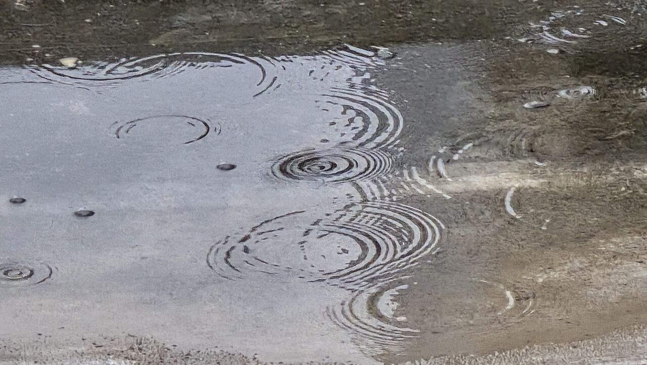 هواشناسی بوشهر: فعالیت سامانه بارشی در استان تداوم دارد+فیلم