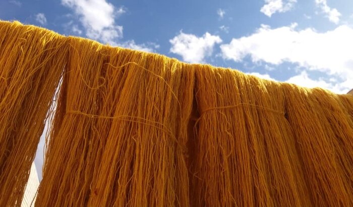 فعال اقتصادی: تولید زیراندازها و دست‌بافته‌های بی‌نظیر ایرانی حاصل رنگرزی مطلوب پشم است