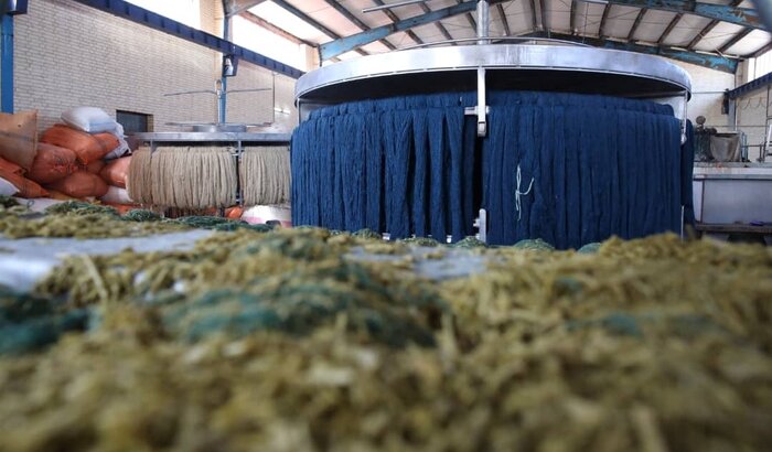 فعال اقتصادی: تولید زیراندازها و دست‌بافته‌های بی‌نظیر ایرانی حاصل رنگرزی مطلوب پشم است