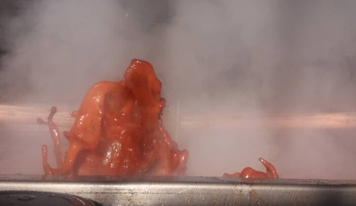 فعال اقتصادی: تولید زیراندازها و دستبافتههای بینظیر ایرانی حاصل رنگرزی مطلوب پشم است