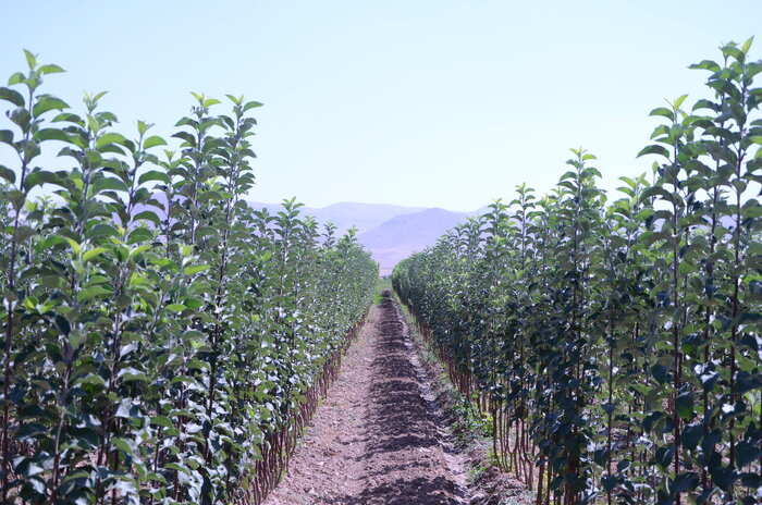 مصایب بهرهبرداری افسارگسیخته از طبیعت و منابع بومی مازندران