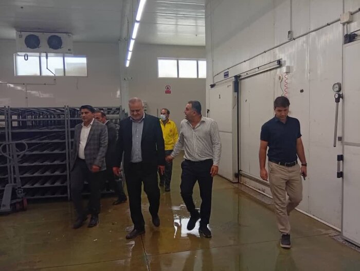 صنایع تبدیلی شیلات، پل حیاتی میان ظرفیتهای دریایی و امنیت غذایی ملی است