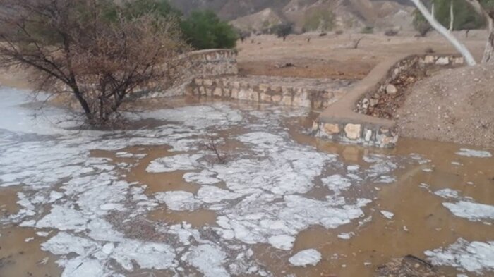 آبگیری آبخوان اهرم؛ احیای ۲ هزار هکتار اراضی بایر تا خوشحالی کشاورزان و دامداران