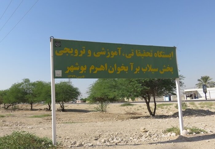 آبگیری آبخوان اهرم؛ احیای ۲ هزار هکتار اراضی بایر تا خوشحالی کشاورزان و دامداران