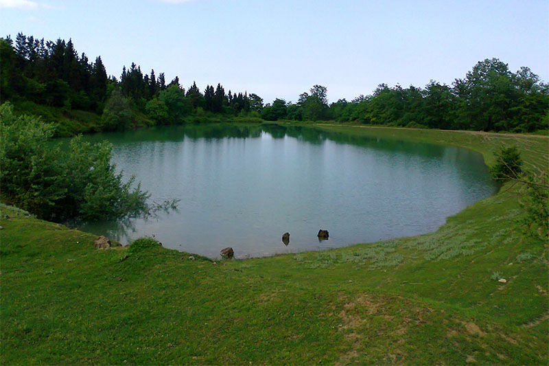 فرماندار: هزاران هکتار از اراضی کشاورزی بندرانزلی در وضعیت قرمز قرار دارد