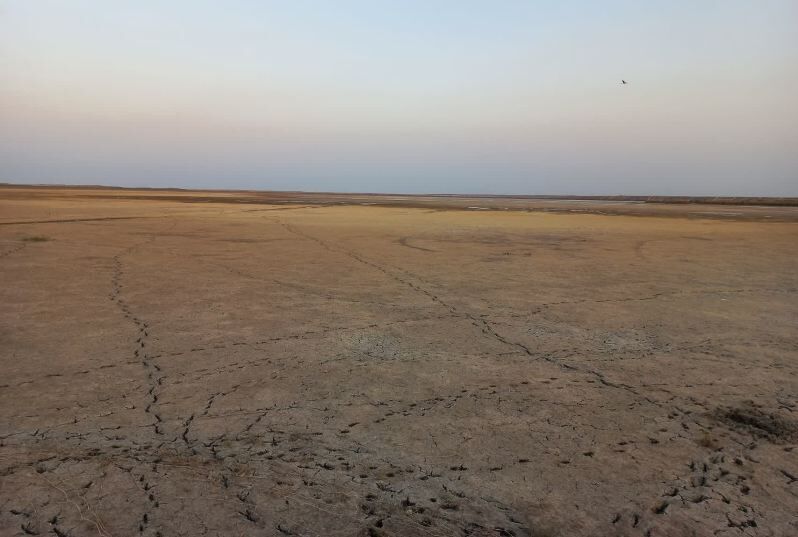 بحران مرگبار خشکسالی در تالاب آلاگل؛ فقط ۲ درصد آب مانده