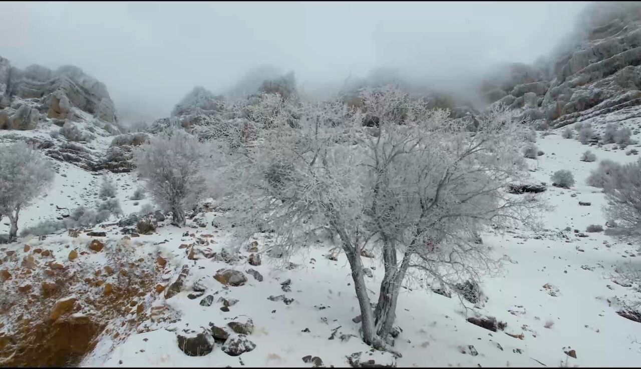 فعالیت سامانه بارشی همراه با تندباد از سه‌شنبه در البرز