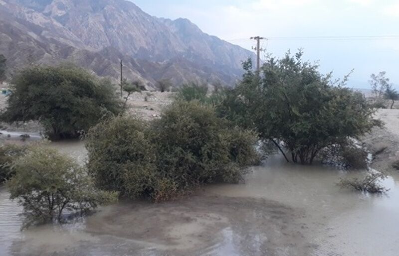آبگیری آبخوان اهرم؛ احیای ۲ هزار هکتار اراضی بایر تا خوشحالی کشاورزان و دامداران آبگیری آبخوان اهرم؛ احیای ۲ هزار هکتار اراضی بایر تا خوشحالی کشاورزان و دامداران