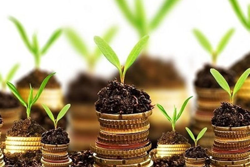 نخستین صندوق سرمایهگذاری بذری کشور راه اندازی میشود