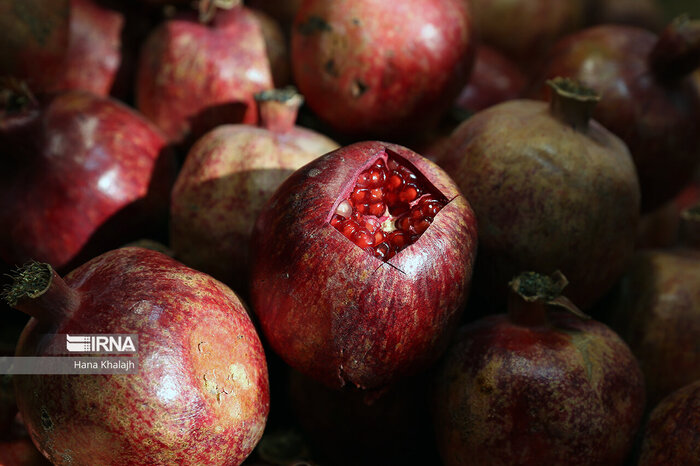 نظارت بر قیمت‌ها؛ بازار گرمسار زیر ذره‌بین پنج تیم بازرسی + فیلم