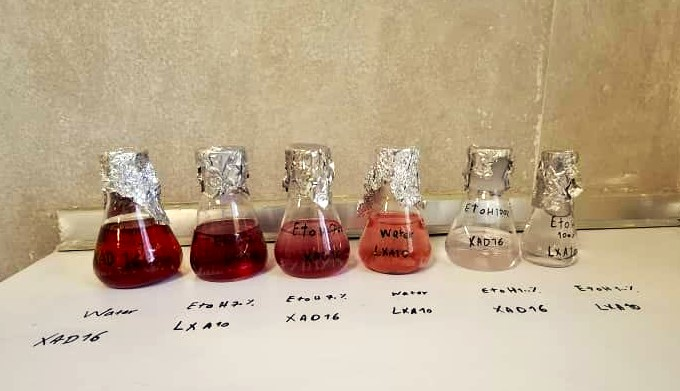 استخراج و غنی‌سازی ترکیبات پلی‌فنلی از گیاه بومی ایران (سیاه‌گیله)