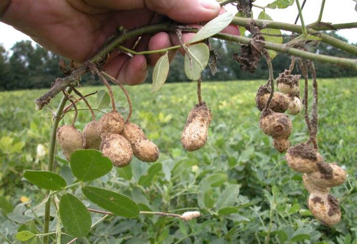 اخبار کوتاه دوشنبه استان مرکزی؛ این صفحه بروز رسانی می‌شود